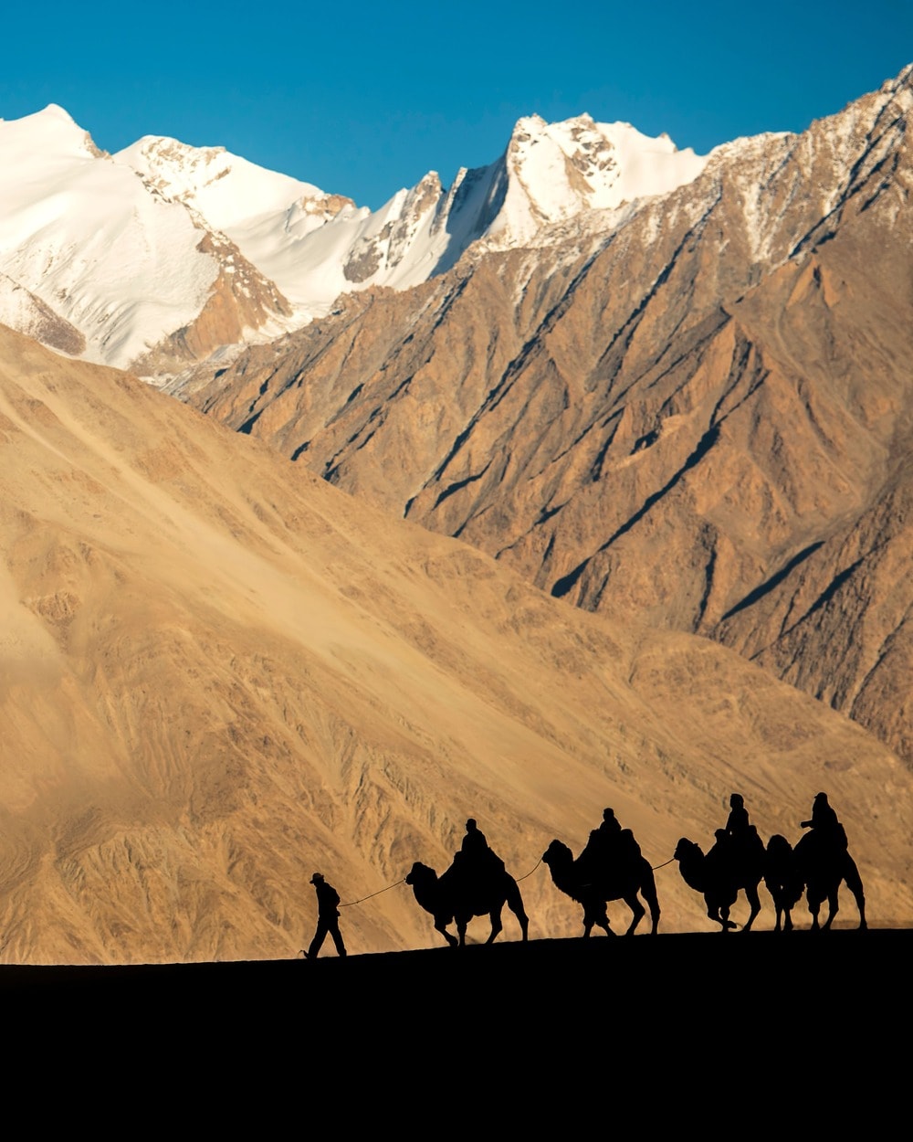Nubra Valley - Desert in the mountains.