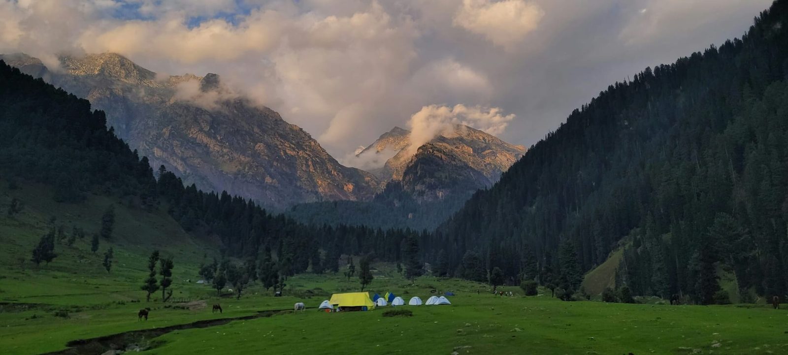 8 Days Ultimate Kashmir Couple Retreat
