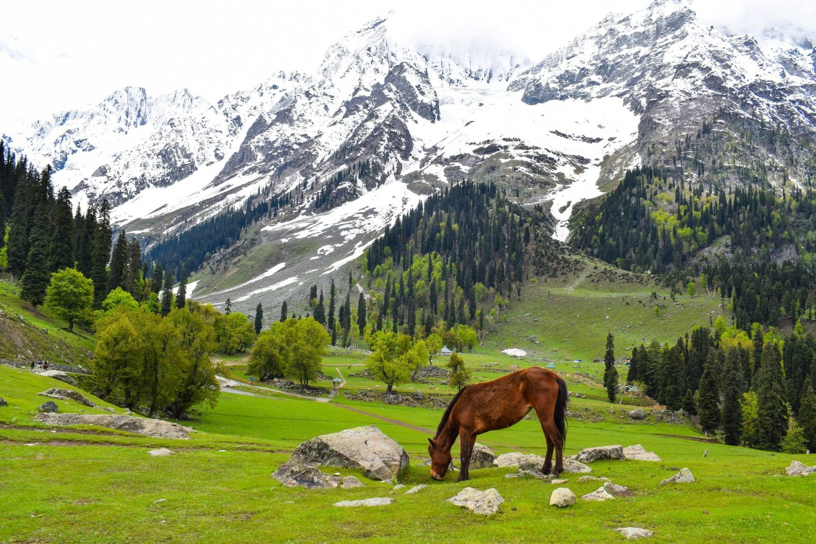 5 Days Kashmir Honeymoon Saver
