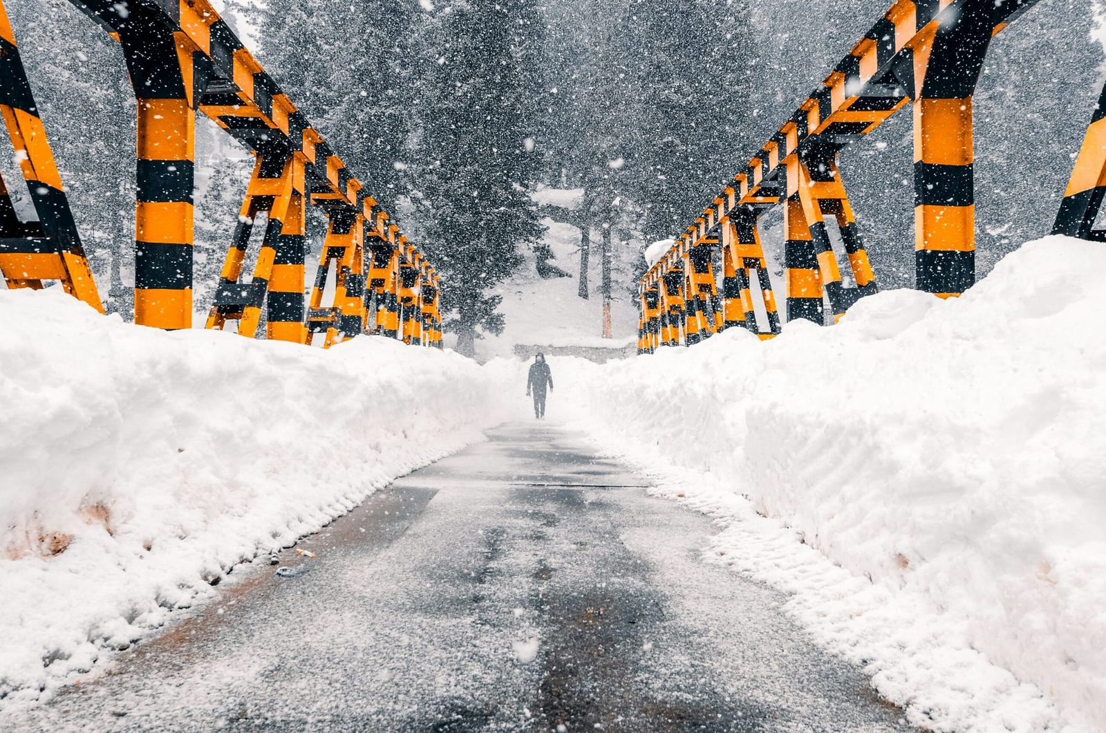 6 Days Kashmir Winter Snow Escape