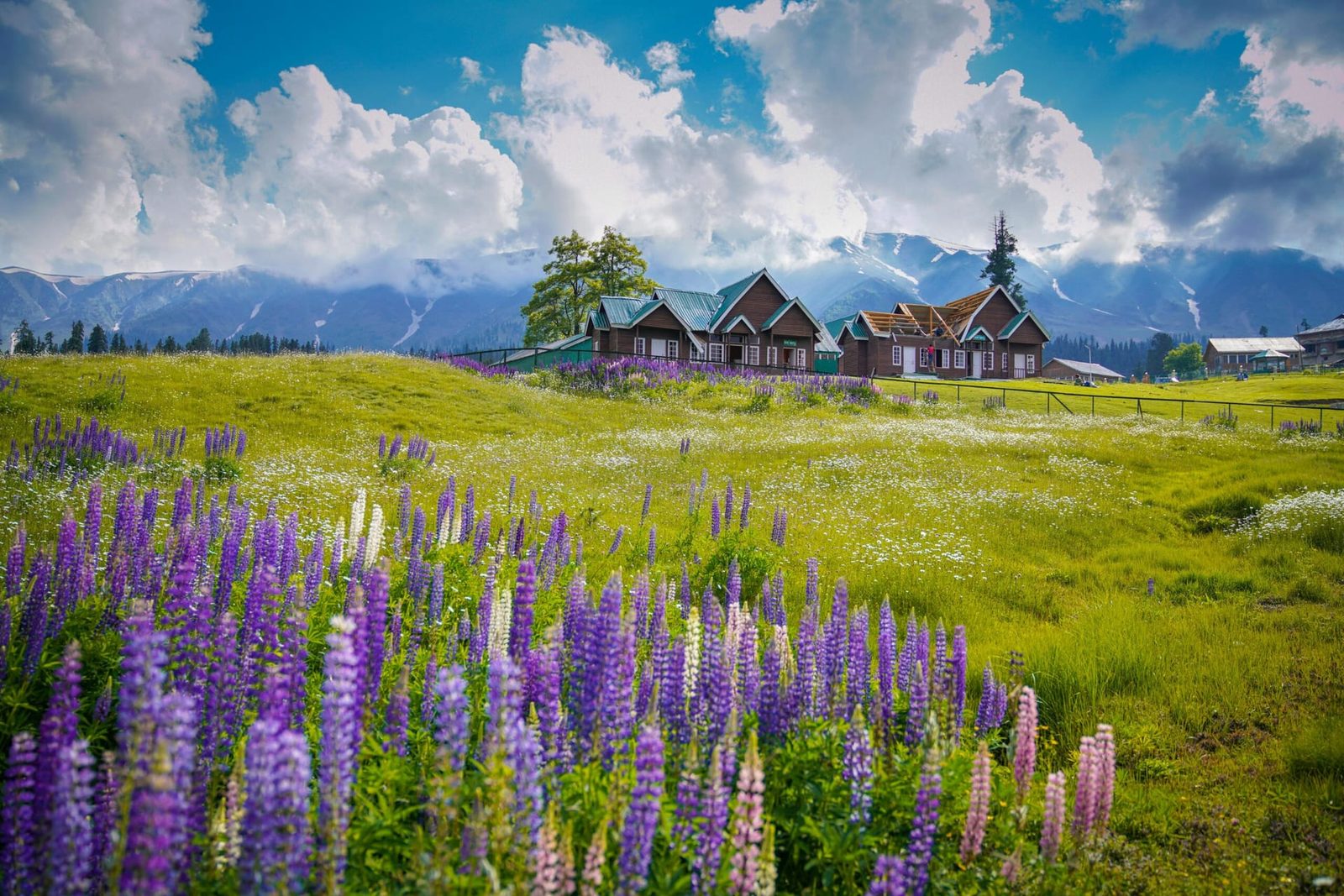 6 Days Kashmir Bliss from Jammu