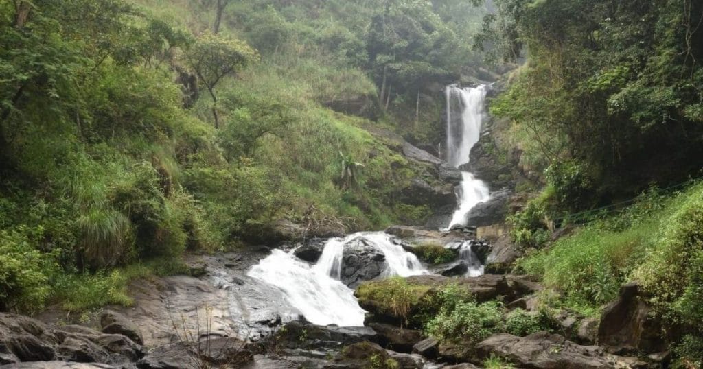 Iruppu Falls in the forests of Coorg