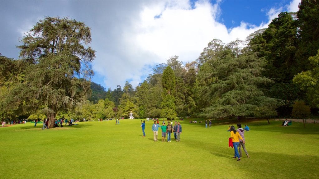 Government Botanical Gardens, Ooty