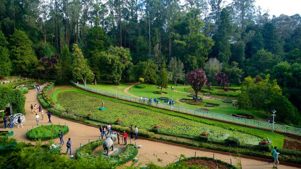 Flower beds in the Botanical Gardens, Ooty