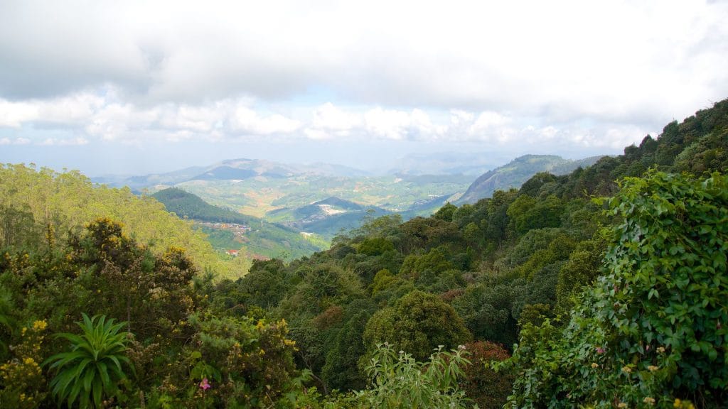 View from Doddabetta Peak, the highest point in the Nilgiris