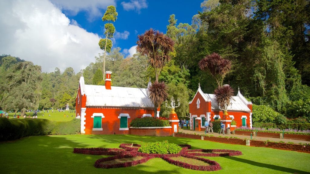 Terraced lawns of the Ooty Botanical Gardens