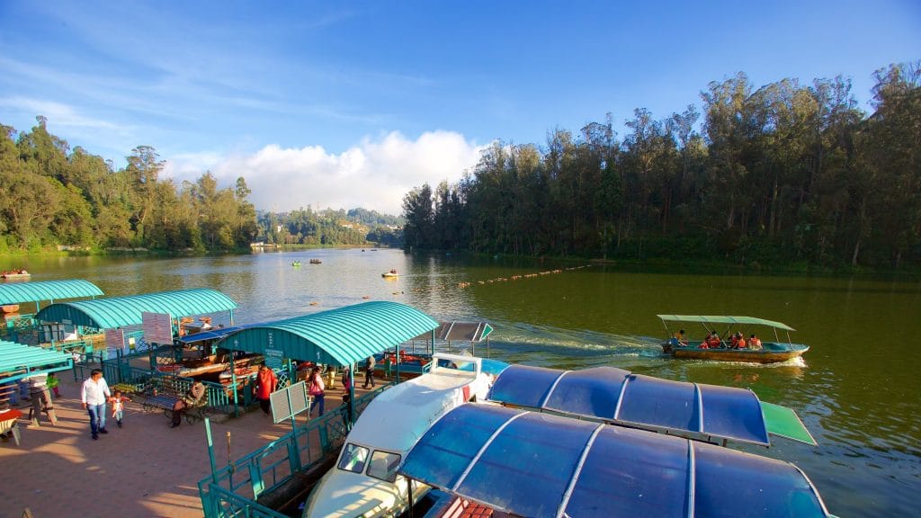 Top 10 Places to Visit in Ooty: What to See and Do
